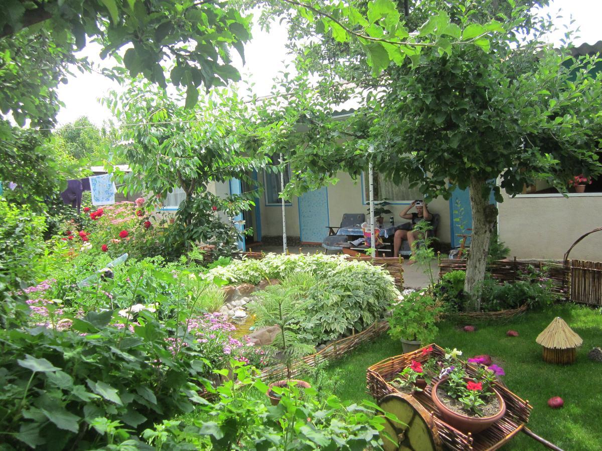 Olga Guest House Cholponata Buitenkant foto