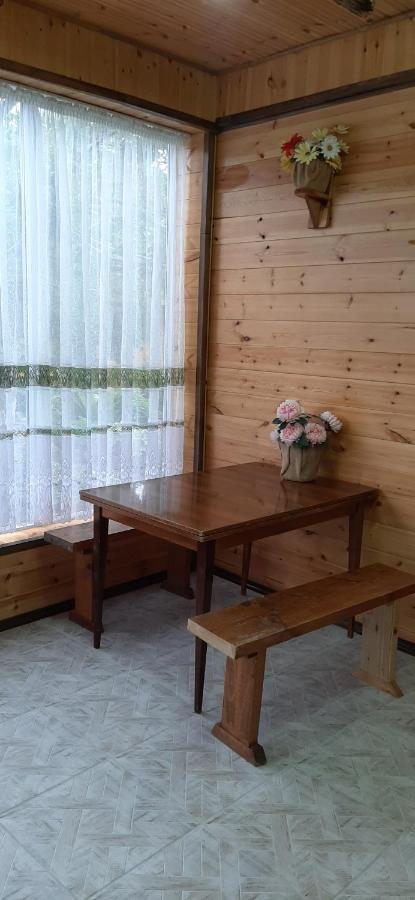 Olga Guest House Cholponata Buitenkant foto
